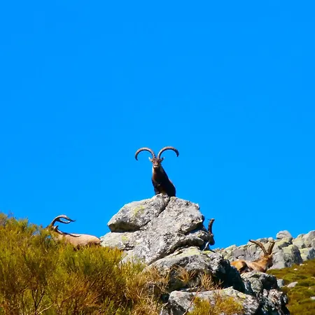 Casa Sebastiana 2 Διαμέρισμα Losar De La Vera