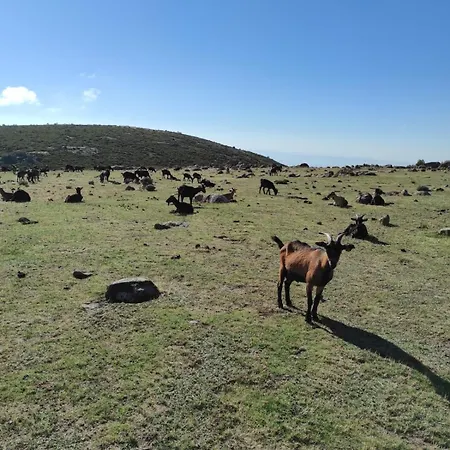 Διαμέρισμα Casa Sebastiana 2 *