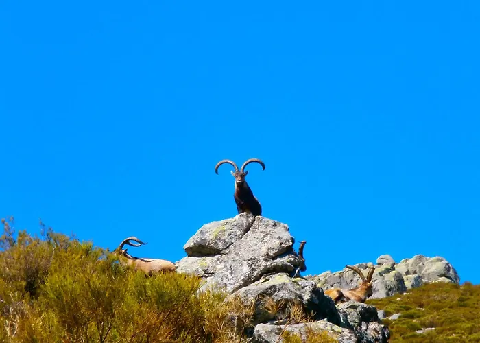 Casa Sebastiana 2 דירה לוסאר דה לה ורה