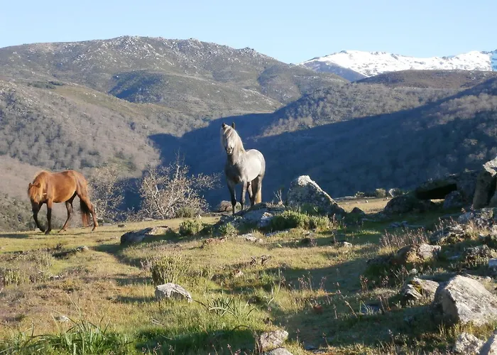 Casa Sebastiana 2 Апартаменты *