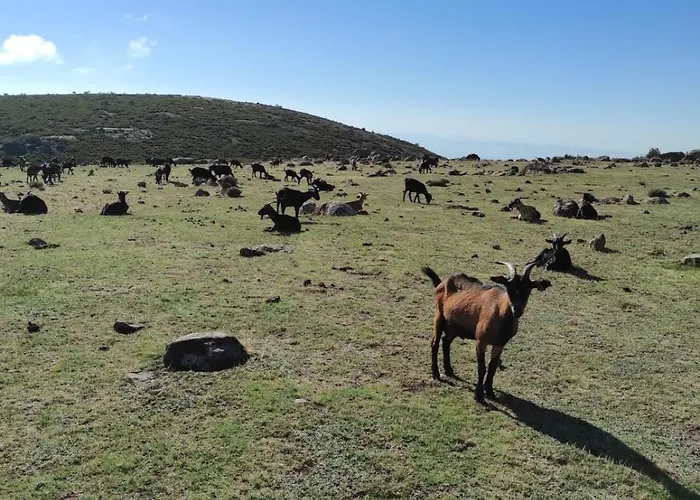 דירה Casa Sebastiana 2 *